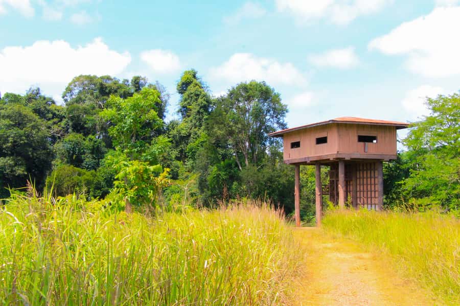 Bangkok: Private & Customizable Khao Yai National Park Tour - The drive reality: 180 km one-way from Bangkok