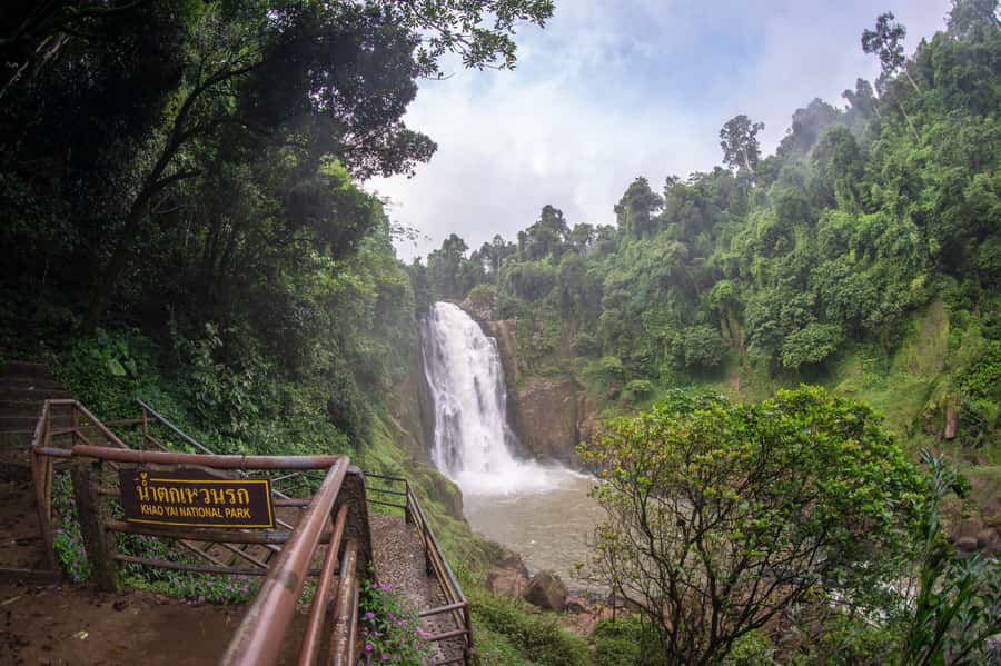 Bangkok: Private & Customizable Khao Yai National Park Tour - KM 33 on the Nong Phak Chi Nature Trail: when you want the feet-on-ground moment