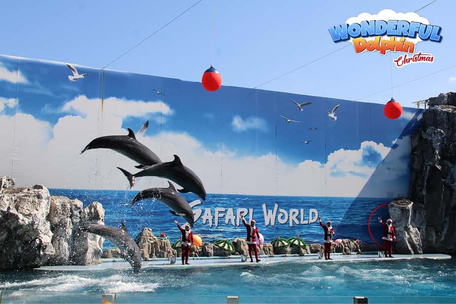 Bangkok: Private Family Tour to Safari & River Dinner Cruise - Marine Park Shows: Dolphins, Birds, and Elephants for All Ages