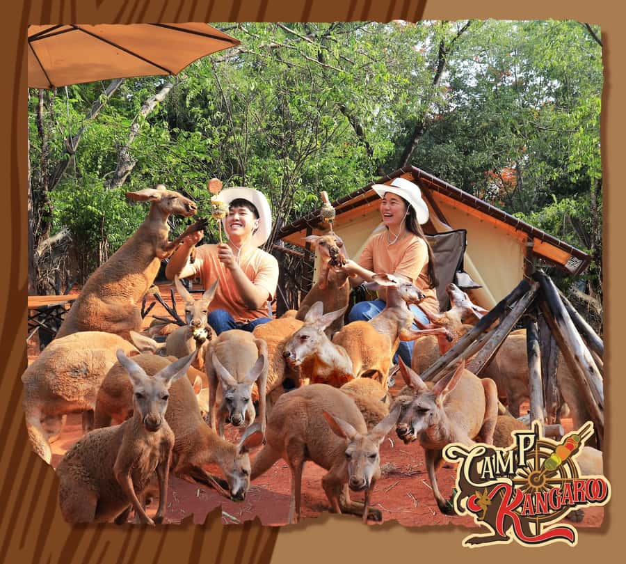 Bangkok: Private Family Tour to Safari & River Dinner Cruise - Safari Park Drive-Through: Giraffes, Zebras, and Lions Up Close