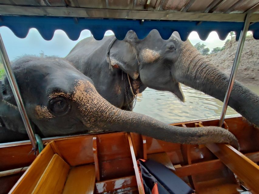 Bangkok: Private Trip to Ayutthaya Temples & Night Market - The Bangkok-to-Ayutthaya night market finish: eat, browse, and breathe