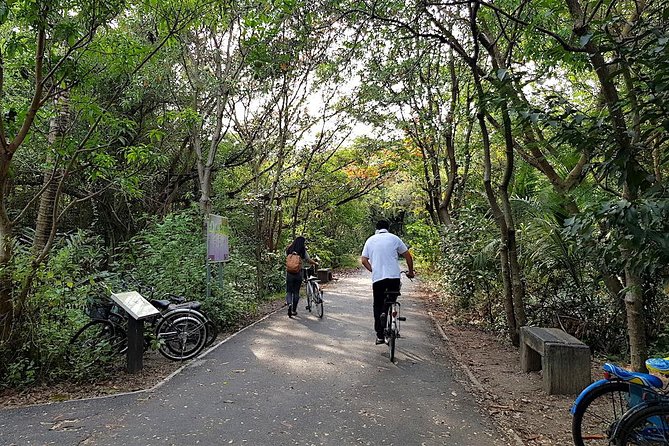 Bangkok's Green Lung Jungle Cycling Adventure Tour - The Chao Phraya Longtail Boat Ride: A Quick Bridge Between Two Worlds