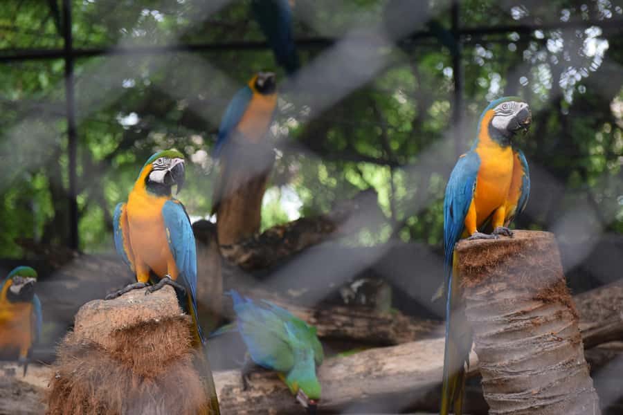 Bangkok Safari & Marine Park - Safari World in one day: what the 10 hours really means
