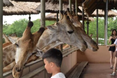 Bangkok Safari & Marine Park