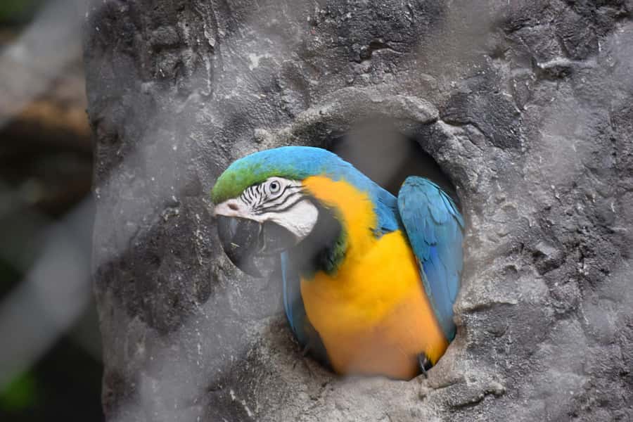 Bangkok Safari & Marine Park - Who this Bangkok Safari & Marine Park day fits best