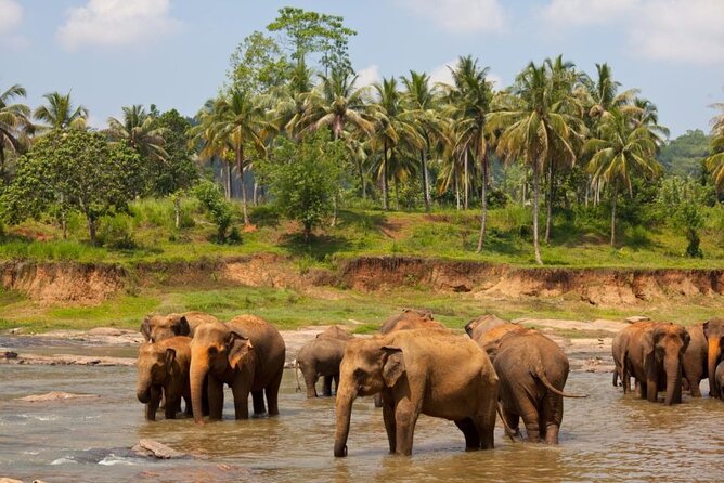 Bangkok: Safari world & Marine park - Key things to know before you go