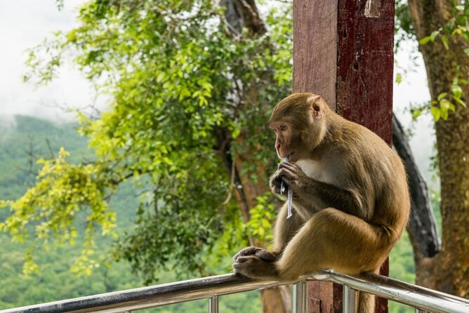 Bangkok: Safari world & Marine park - Safari World and Marine Park: a practical Bangkok animal day