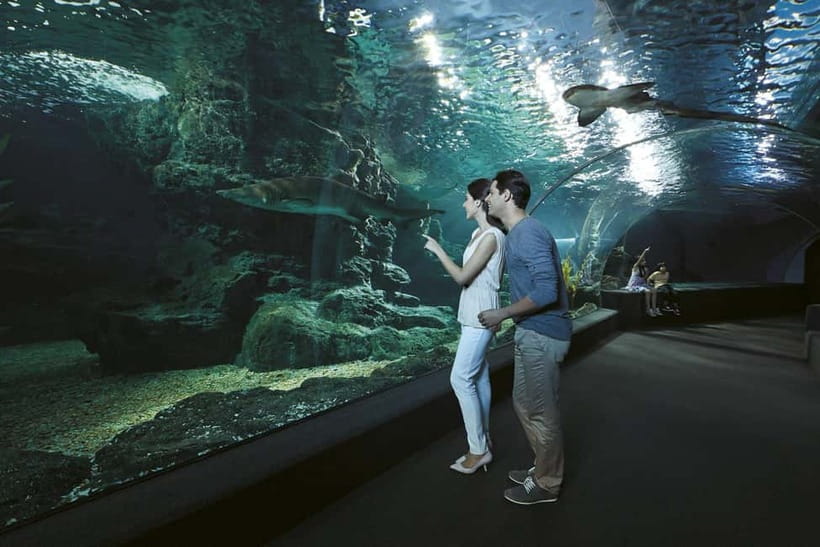 Bangkok: SEA LIFE Bangkok & Madame Tussauds Entry Ticket - Siam Paragon to Siam Discovery, how the locations really help