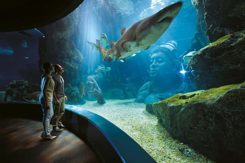 Bangkok: SEA LIFE Bangkok Ocean World Entry Ticket - Key highlights worth targeting