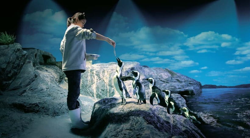 Bangkok: SEA LIFE Bangkok Ocean World Entry Ticket - SEA LIFE at Siam Paragon: why this location changes the feel of your visit