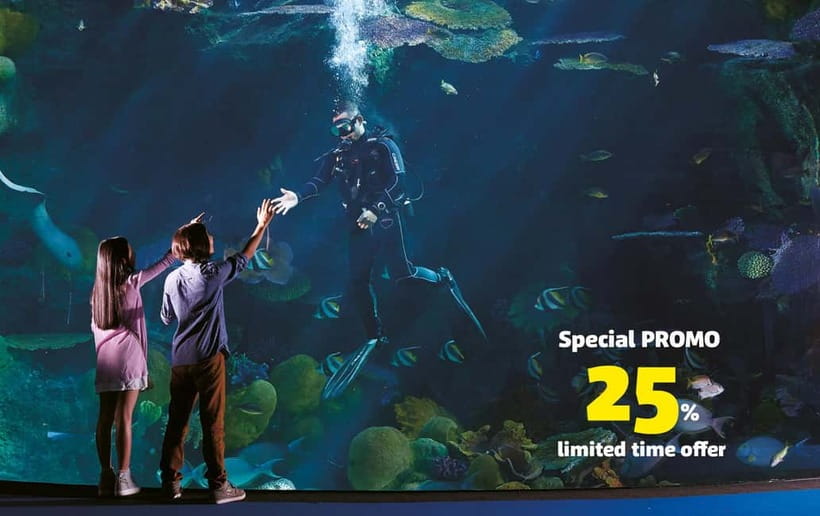 Bangkok: SEA LIFE Bangkok Ocean World Entry Ticket - The Ocean Tunnel: sharks and rays from every angle