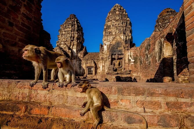 Bangkok to Ayutthaya Lopburi Monkey Temple, Largest Buddha Tour - A One-Day Temple Route From Bangkok With a Small-Group Pace