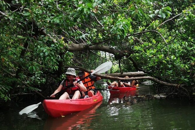 Bangkok Tour by Boat and Bike - Group size, guide quality, and how attention shows up