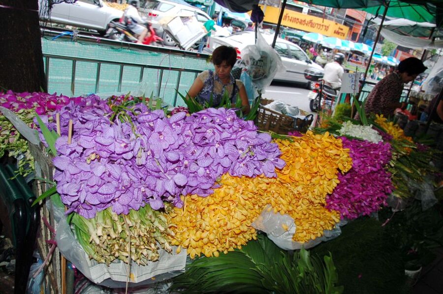 Bangkok Twilight : Hidden Canal, Big Buddha & temple - Who This Tour Suits Best