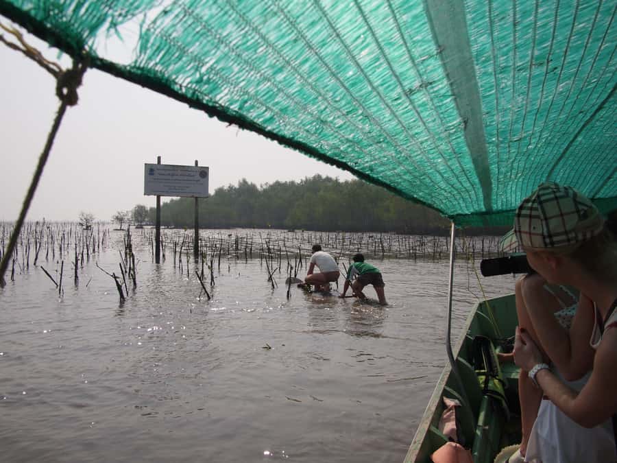 BKK :Meet monkey, mangrove forest, seafood& market -private - What to pack and how to be comfortable all day
