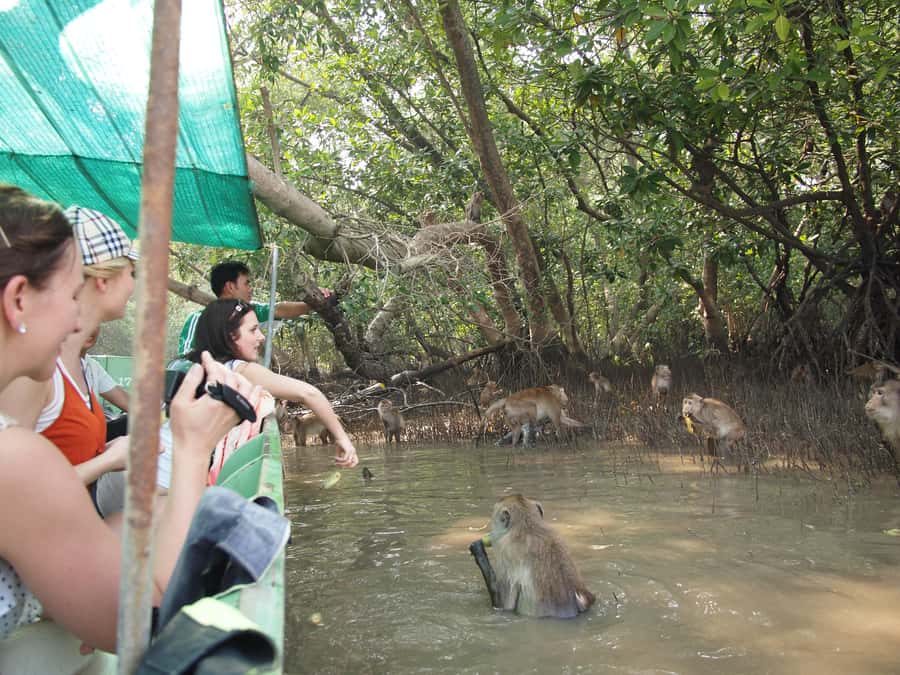 BKK :Meet monkey, mangrove forest, seafood& market -private - Watching vendors clear the tracks at Maeklong