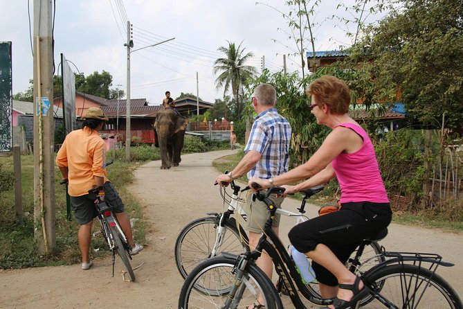 Colors of Ayutthaya Full-Day Bike Tour - Dress code at the temples: don’t wing it