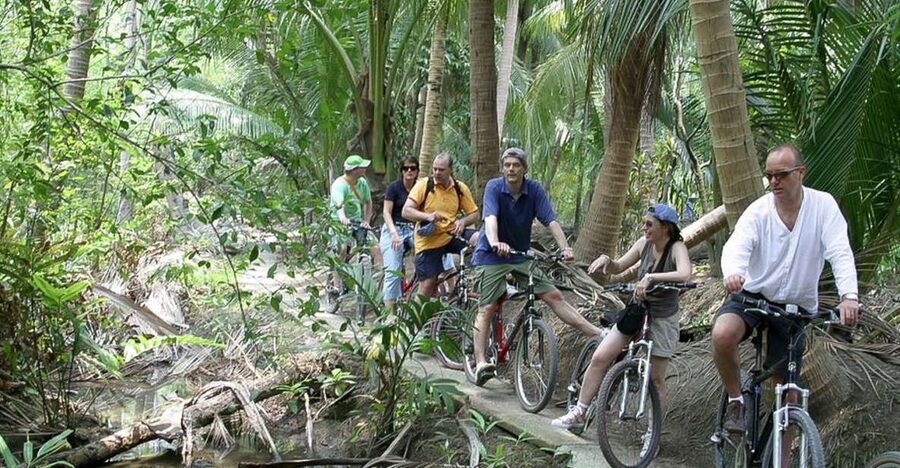 Colors Of Bangkok: 4-Hour Small Group Bike Tour - Bang Krachao: Bangkok’s Green Lung on Two Wheels