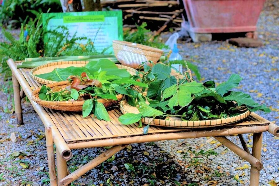 Cultural immersion: Thai cooking, rice farming, eco printing - Snack breaks that teach you how Thai flavors work