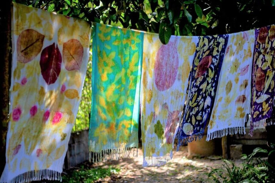 Cultural immersion: Thai cooking, rice farming, eco printing - Cooking five classics at Baan Tung Tiam Kawieng