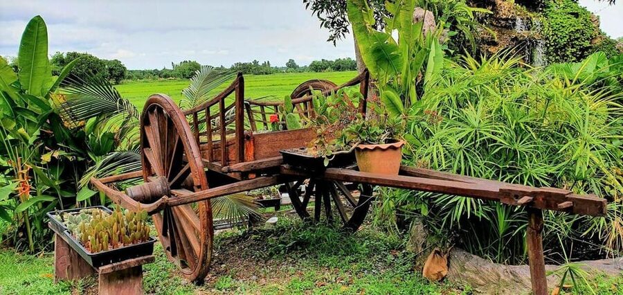 Cultural immersion: Thai cooking, rice farming, eco printing - Fruit orchard, Miang Kham, and leaf eco-printing