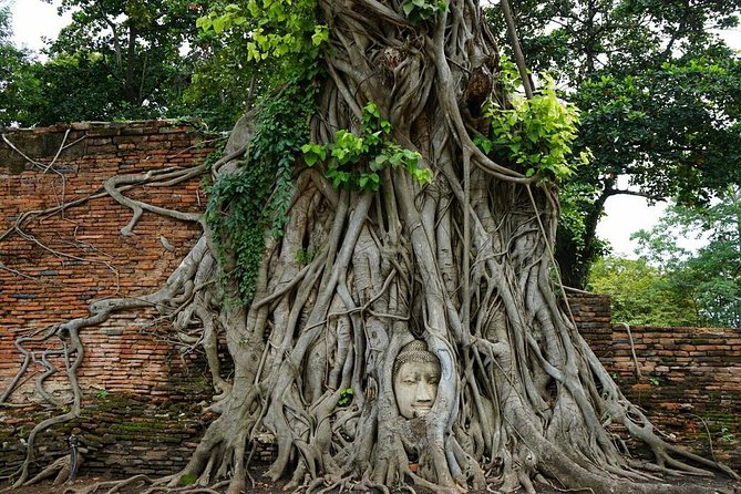 Discover UNESCO World Heritage Sites - Ayutthaya to Khao Yai National Park - The Ayutthaya temple route, from reclining Buddha to royal chedis