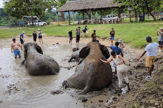 Erawan Waterfall and Elephant care from Bangkok -Private Tour - Erawan Waterfall’s seven levels: emerald pools, swimming time, and a reality check