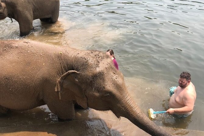 Erawan Waterfall and Elephant care from Bangkok -Private Tour - Private transportation details that really affect your comfort