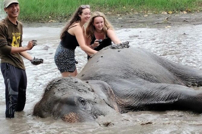 Erawan Waterfall and Elephant care from Bangkok -Private Tour - Price and value: what $203.28 covers for a 12 to 13 hour day