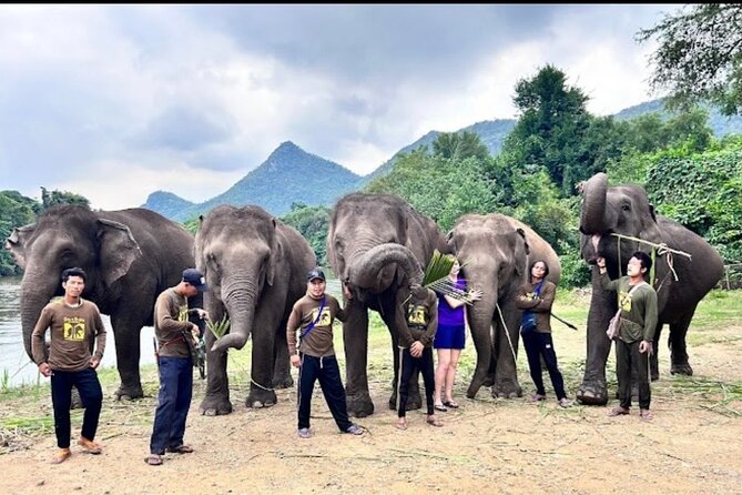 Erawan Waterfall and Elephant care from Bangkok -Private Tour - Practical tips for a smoother elephant and waterfall day