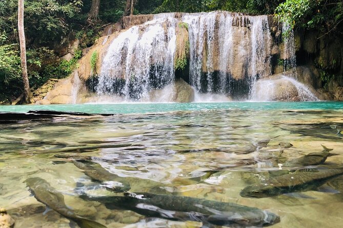 Erawan Waterfall and River Kwai Bridge Day Tour from Bangkok - Don Rak War Cemetery in Kanchanaburi: A Quiet Start
