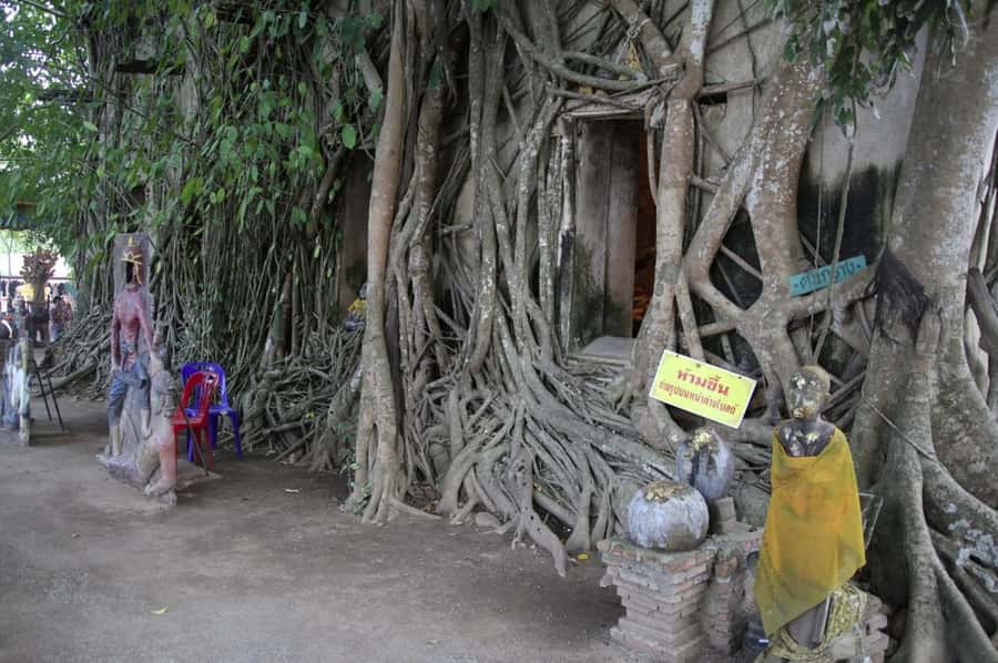 Floating Market Full-Day Bicycle Tour from Bangkok - Price and Value for an 8-Hour Full-Day Tour