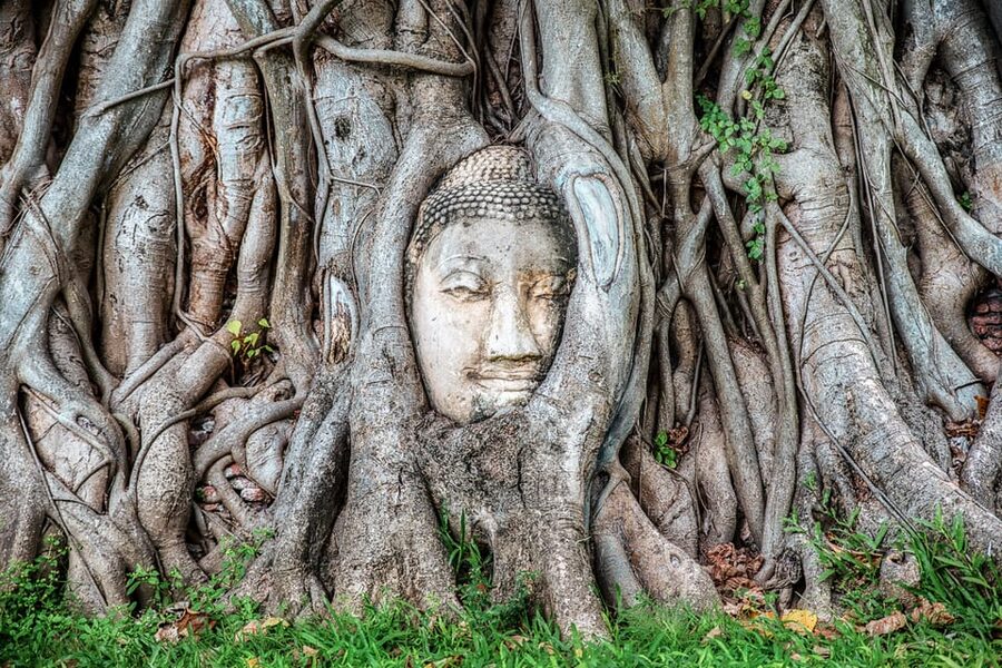 From Bangkok: Ayutthaya & Ayothaya Floating Market Day Trip - First temple stop: Wat Yai Chaimongkhon and the story behind the stones
