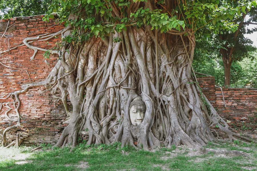 From Bangkok: Ayutthaya Day Tour by Bus with River Cruise - Key Highlights at a Glance