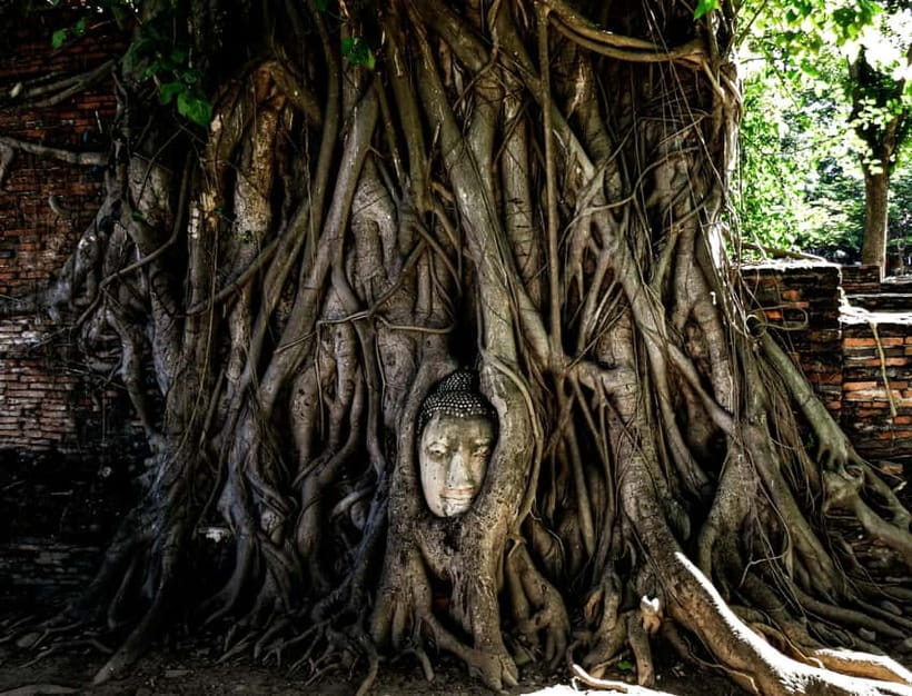 From Bangkok: Ayutthaya Heritage Tour with Sunset Boat Ride - Wat Maha That, the Buddha head in tree roots up close