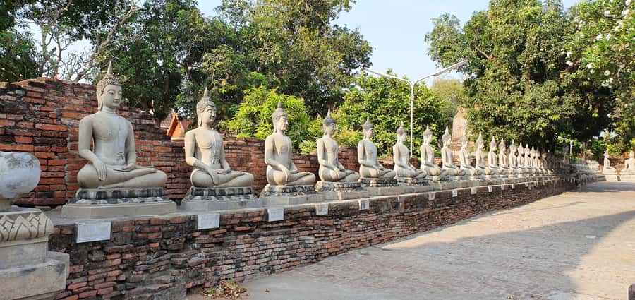 From Bangkok: Ayutthaya & Khao Yai National Park Day Trip - Key things to know before you go