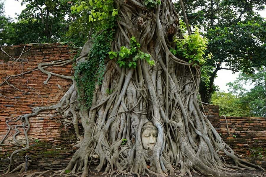 From Bangkok: Ayutthaya & Khao Yai National Park Day Trip - Ayutthaya and Khao Yai in one day, and why it works
