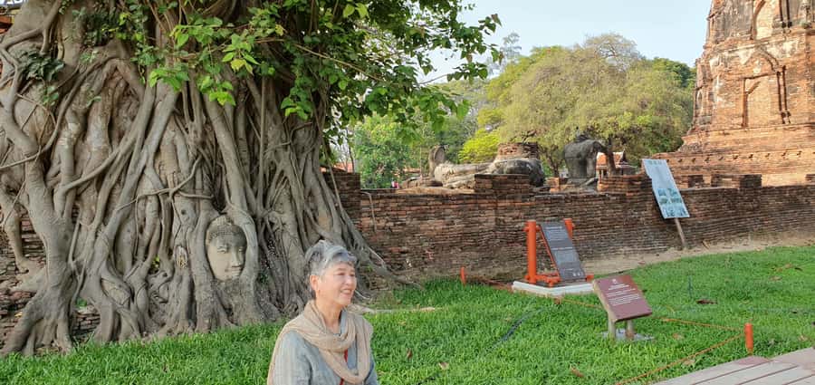 From Bangkok: Ayutthaya & Khao Yai National Park Day Trip - Visitor Center and KM 30 viewpoint, turning sights into context