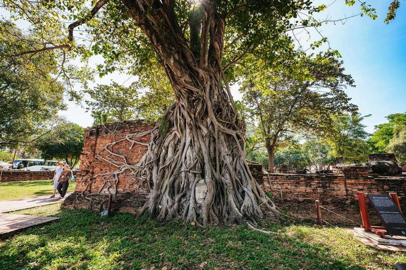 From Bangkok: Ayutthaya Temples Guided Tour with Lunch - Ayutthaya Temples as a Day Trip: Why it clicks from Bangkok