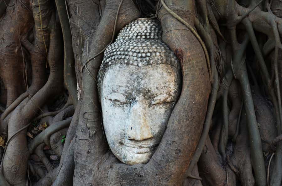From Bangkok: Bang Pa-In Palace & Ayutthaya Private Trip - Wat Mahathat: The Buddha Head in Tree Roots