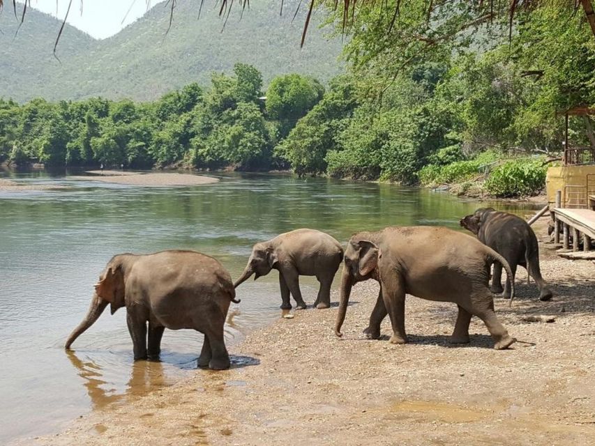 From Bangkok: ElephantsWorld Kanchanaburi 2-Day Experience - Key things to know before you go