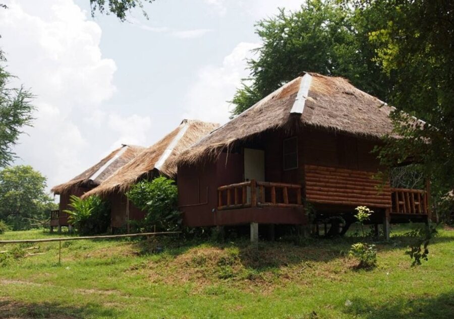 From Bangkok: ElephantsWorld Kanchanaburi 2-Day Experience - Who this 2-day sanctuary visit suits best