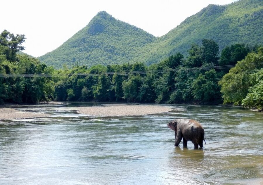 From Bangkok: ElephantsWorld Kanchanaburi 2-Day Experience - Thai-style cottage by the River Kwai: sleep with real views