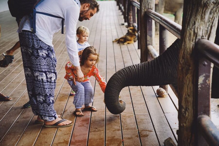 From Bangkok: ElephantsWorld Kanchanaburi 2-Day Experience - Day two choices: jungle walk, mahout mountain, or River Kwai float