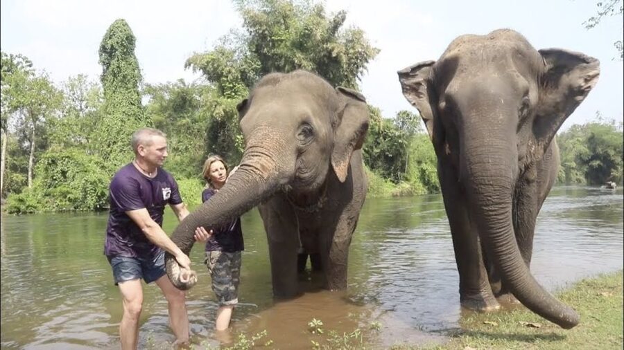 From Bangkok: ElephantsWorld Kanchanaburi 2-Day Experience - Price and value at $411, where your money goes