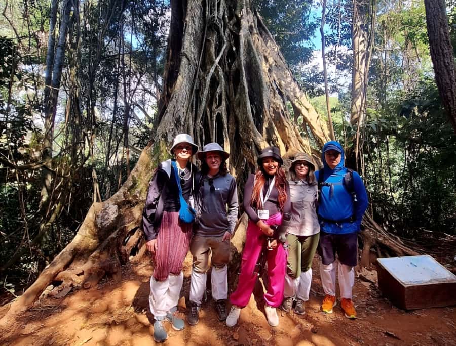 From Bangkok: Khao Yai National Park Jungle Trek with Lunch - Key things to know before you go