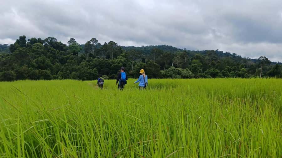 From Bangkok: Khao Yai National Park Jungle Trek with Lunch - Kilometer 30 viewpoint: the Northern Khao Yai intro and quick photo window