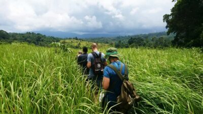 Khao Yai National Park Jungle Trek with Lunch