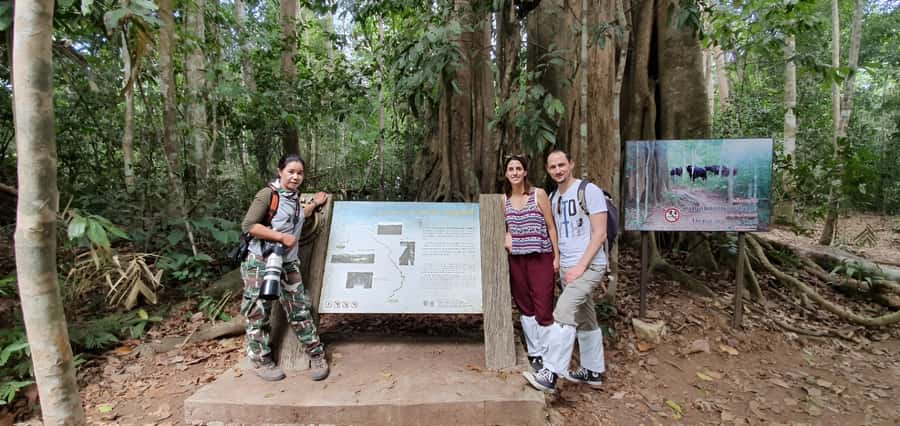 From Bangkok: Khao Yai National Park Jungle Trek with Lunch - Nong Phak Chi trail (Kilometer 33): a 2.5-hour guided jungle walk