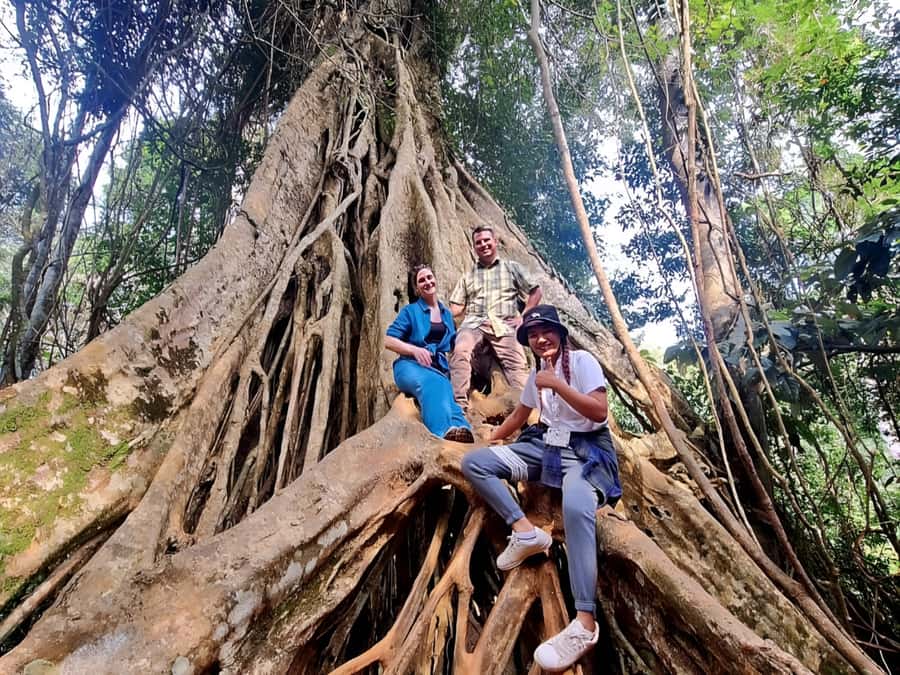 From Bangkok: Khao Yai National Park Jungle Trek with Lunch - Sai Sorn Reservoir and the Haew Su Wat Waterfall moment